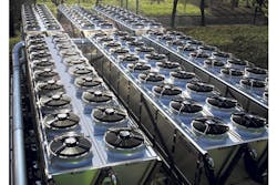 Frigeleco1 Frigeleco1