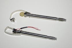 Dyniscobp1 Dyniscobp1