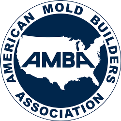 Amba Logo Blue Oct17 5ec3ebc6ce675