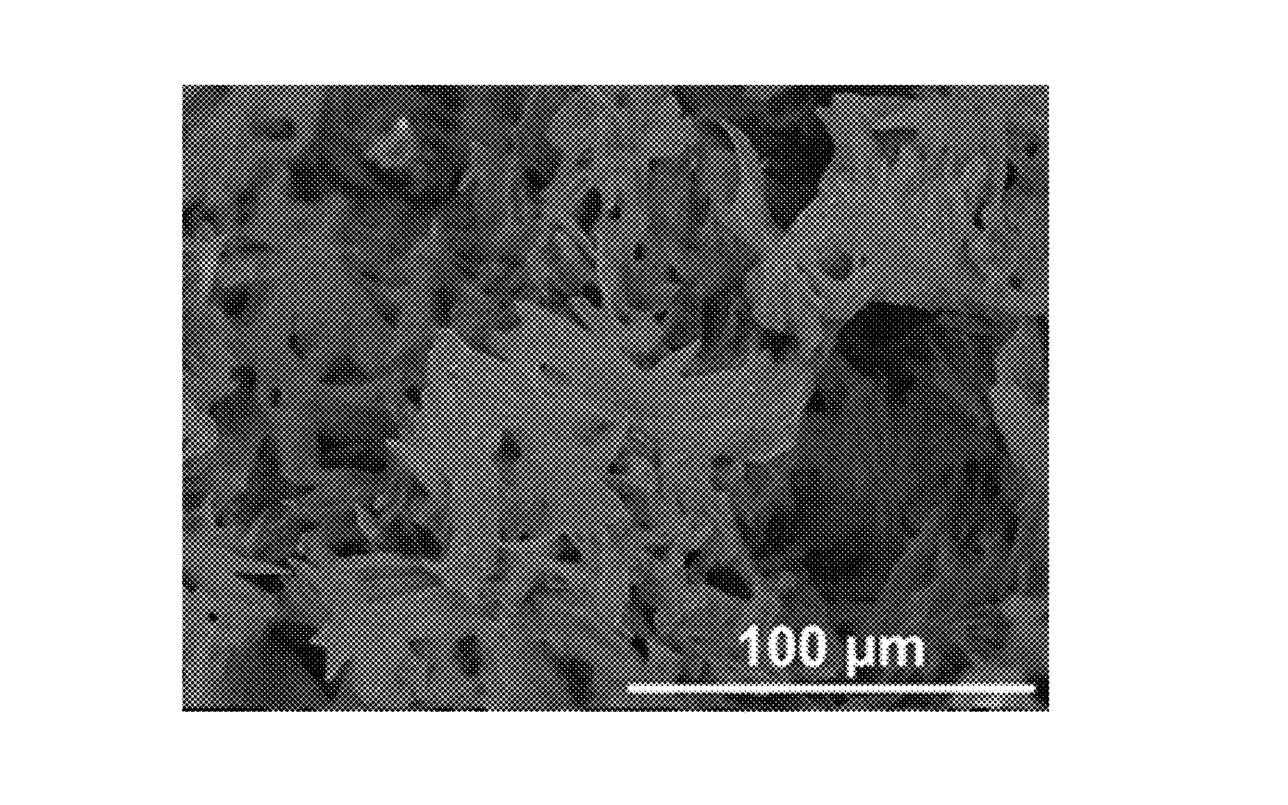 This image shows the surface of an extracted pellet of ground polyethylene polymer material generated by scanning electron microscopy with back scattered imaging.