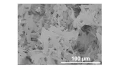 This image shows the surface of an extracted pellet of ground polyethylene polymer material generated by scanning electron microscopy with back scattered imaging.