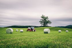 SML has developed a resin formulation and layer structure that allow the production of high-quality silage film on its cast film lines. SML has developed a resin formulation and layer structure that allow the production of high-quality silage film on its cast film lines.