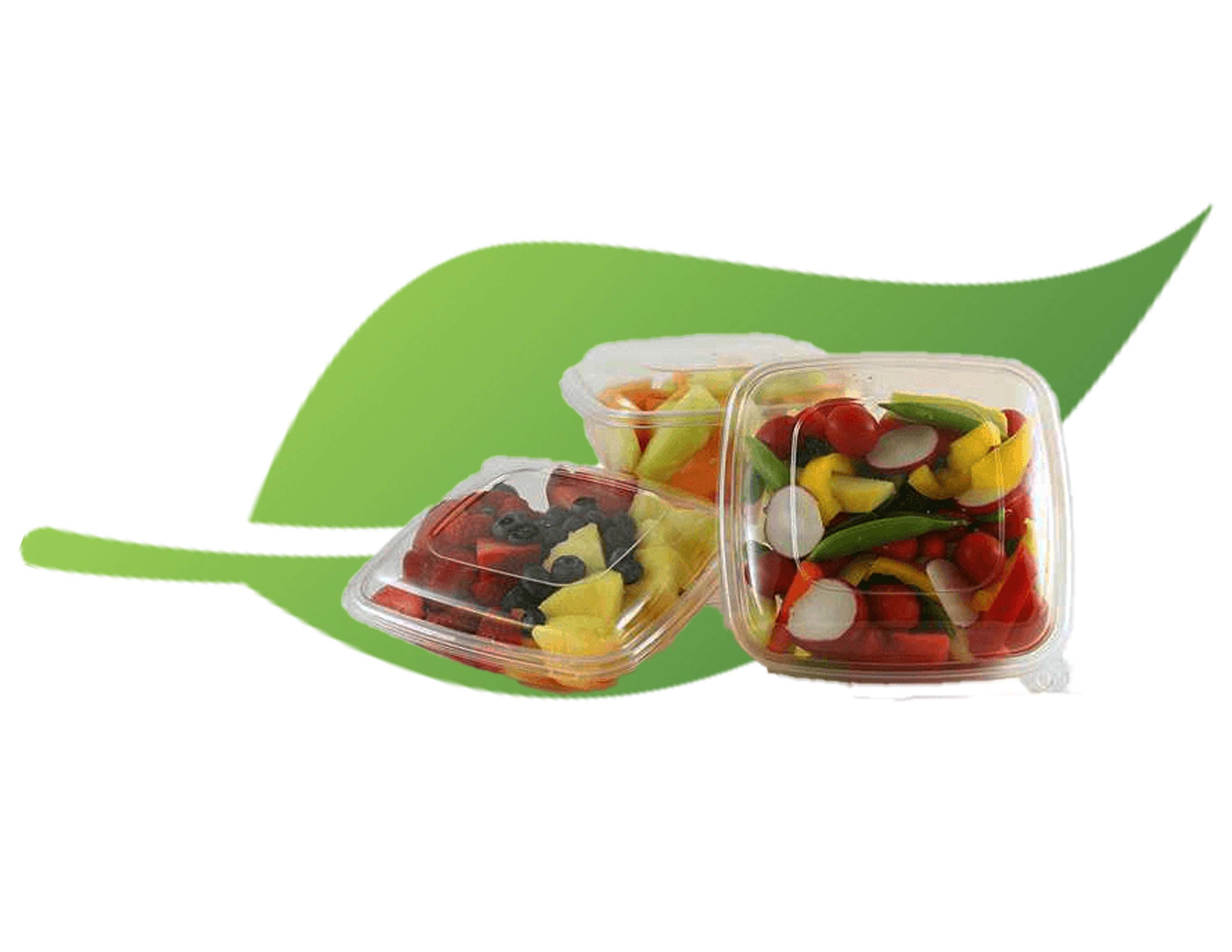 Leaf Container 617ae275a1b46