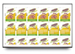 Isra Vision’s LiveWebView feature works with its PrintSTAR inline inspection system to give users real-time views of printed flexible packaging. Isra Vision’s LiveWebView feature works with its PrintSTAR inline inspection system to give users real-time views of printed flexible packaging.