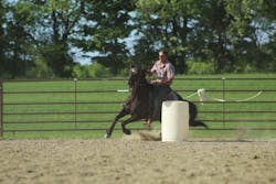 Iow Duska On A Horse Iow Duska On A Horse