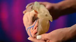 Stratasys' printers and materials can create anatomical models like this heart.