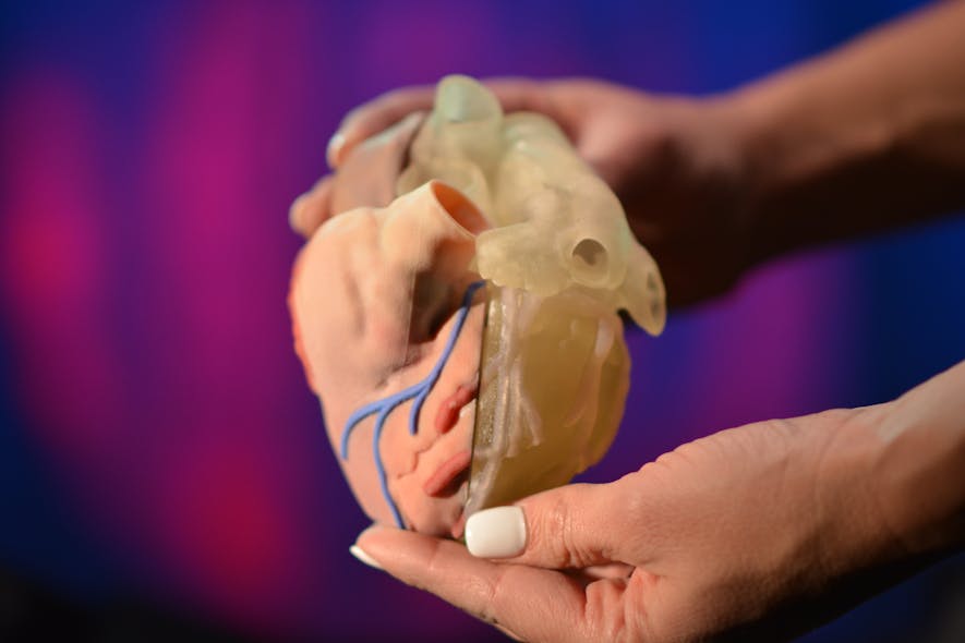 Stratasys&apos; printers and materials can create anatomical models like this heart.