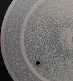 A close-up photo reveals the uniform distribution of bubbles within even very thin structures, like this cap, created with resin processed with foaming agents. A close-up photo reveals the uniform distribution of bubbles within even very thin structures, like this cap, created with resin processed with foaming agents.