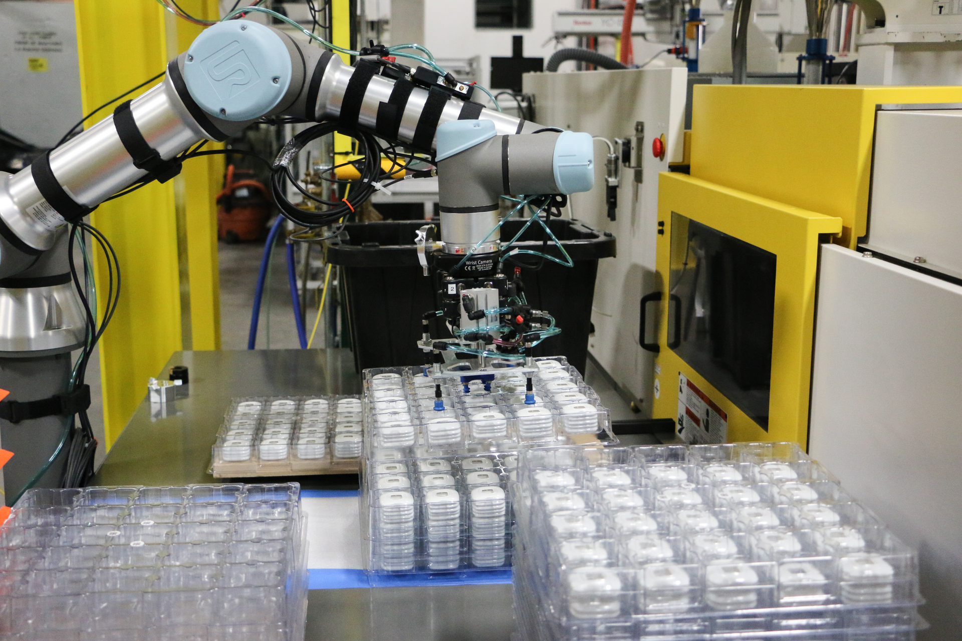 A Universal Robot UR5e picks up a tray of products at Aim Processing.