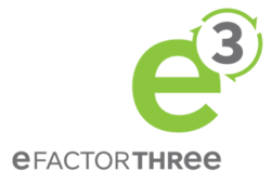 E Factor3 Logo