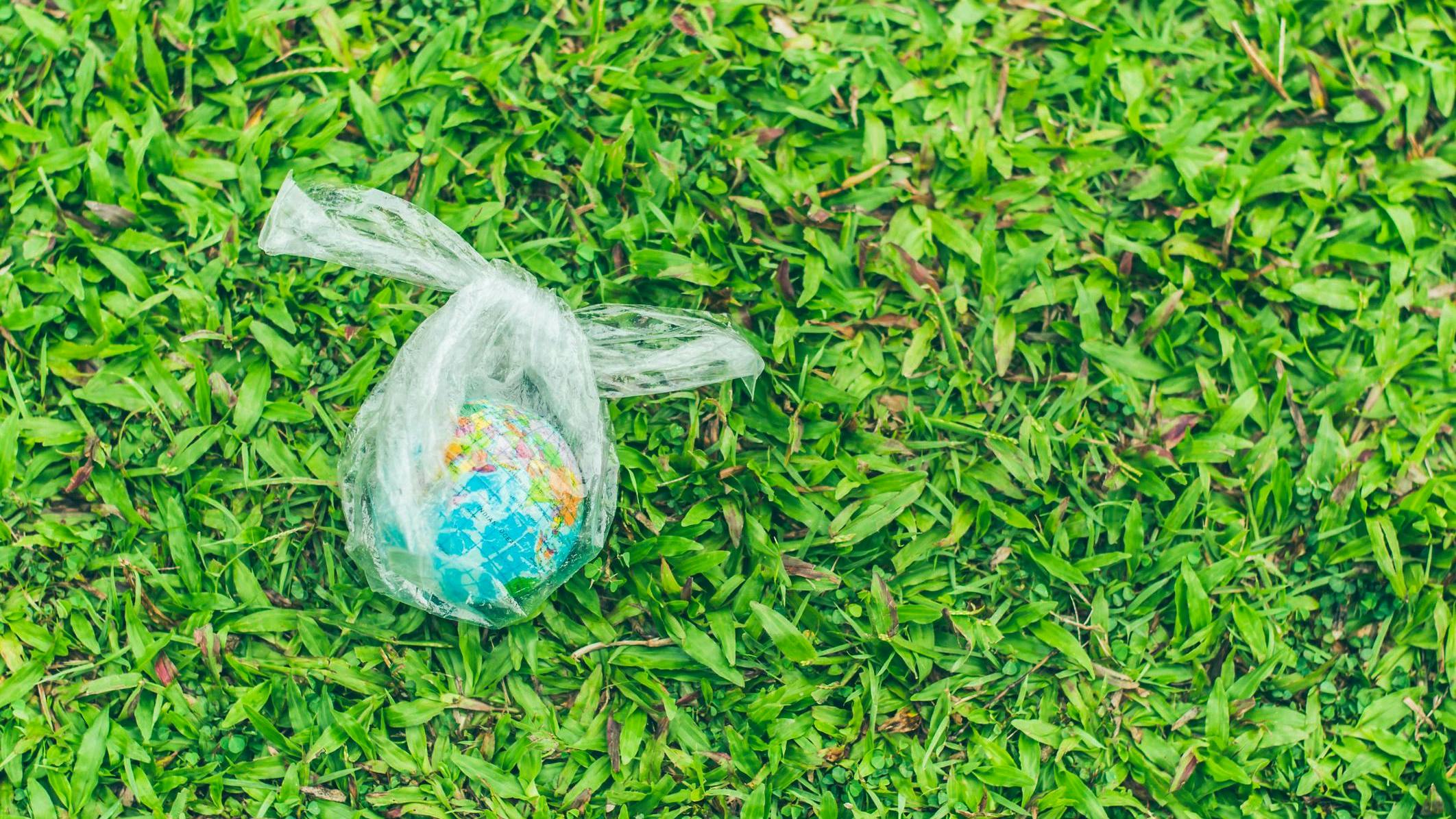 65f43fb30ef91e001e429aa9 Dreamstime M 167670881