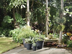 Planters are among the products that can be made with UBQ's recycled resin. Planters are among the products that can be made with UBQ's recycled resin.