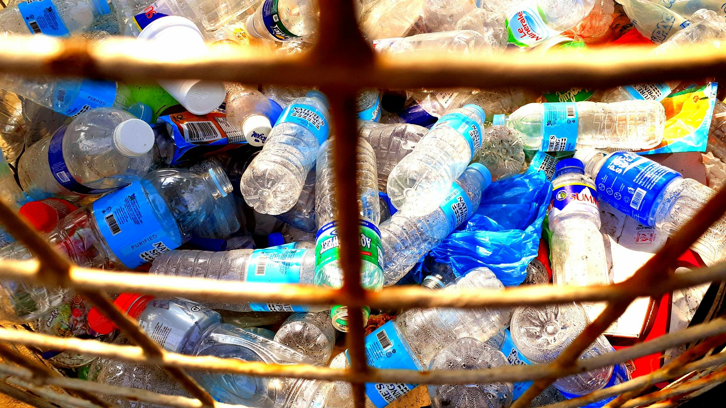 6802c07fa853dcd18868c398 Dreamstime M 161990362