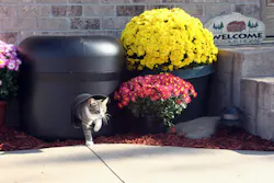 The Kitty Tube is a blow molded, insulated shelter for outdoor cats. The Kitty Tube is a blow molded, insulated shelter for outdoor cats.